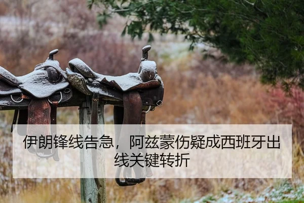伊朗锋线告急，阿兹蒙伤疑成西班牙出线关键转折
