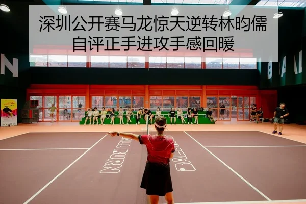 shen-zhen-gong-kai-sai-ma-long-jing-tian-ni-zhuan-lin-yun-ru-zi-ping-zheng-shou-jin-gong-shou-gan-hui-nuan-2-252.jpg